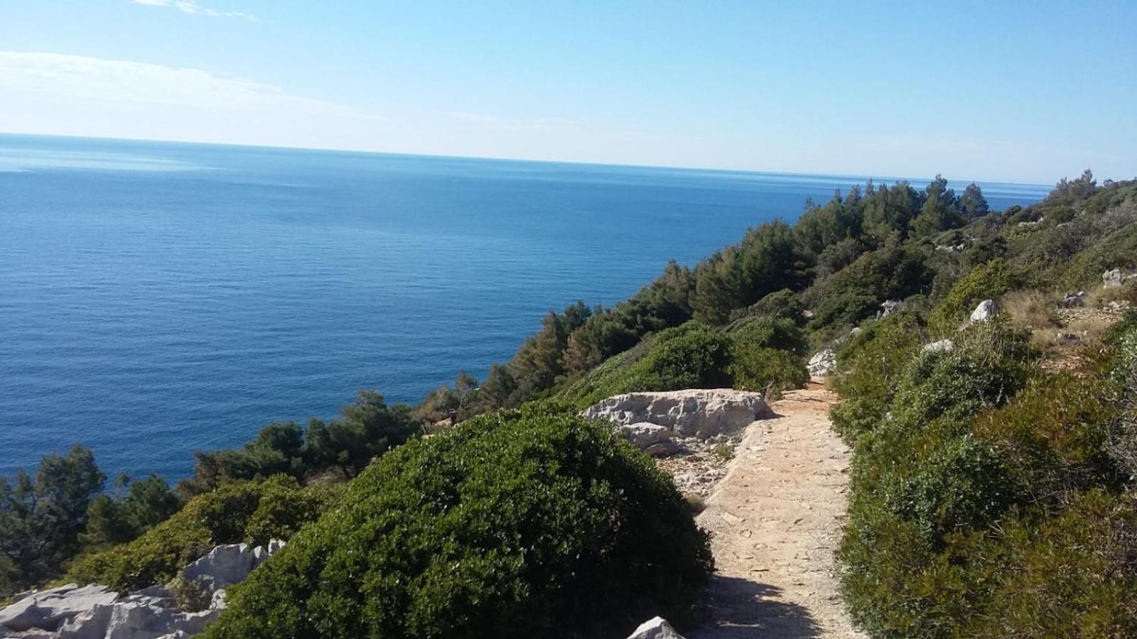 Apartment Nadine Mljet Mit Meerblick Okuklje Exterior foto