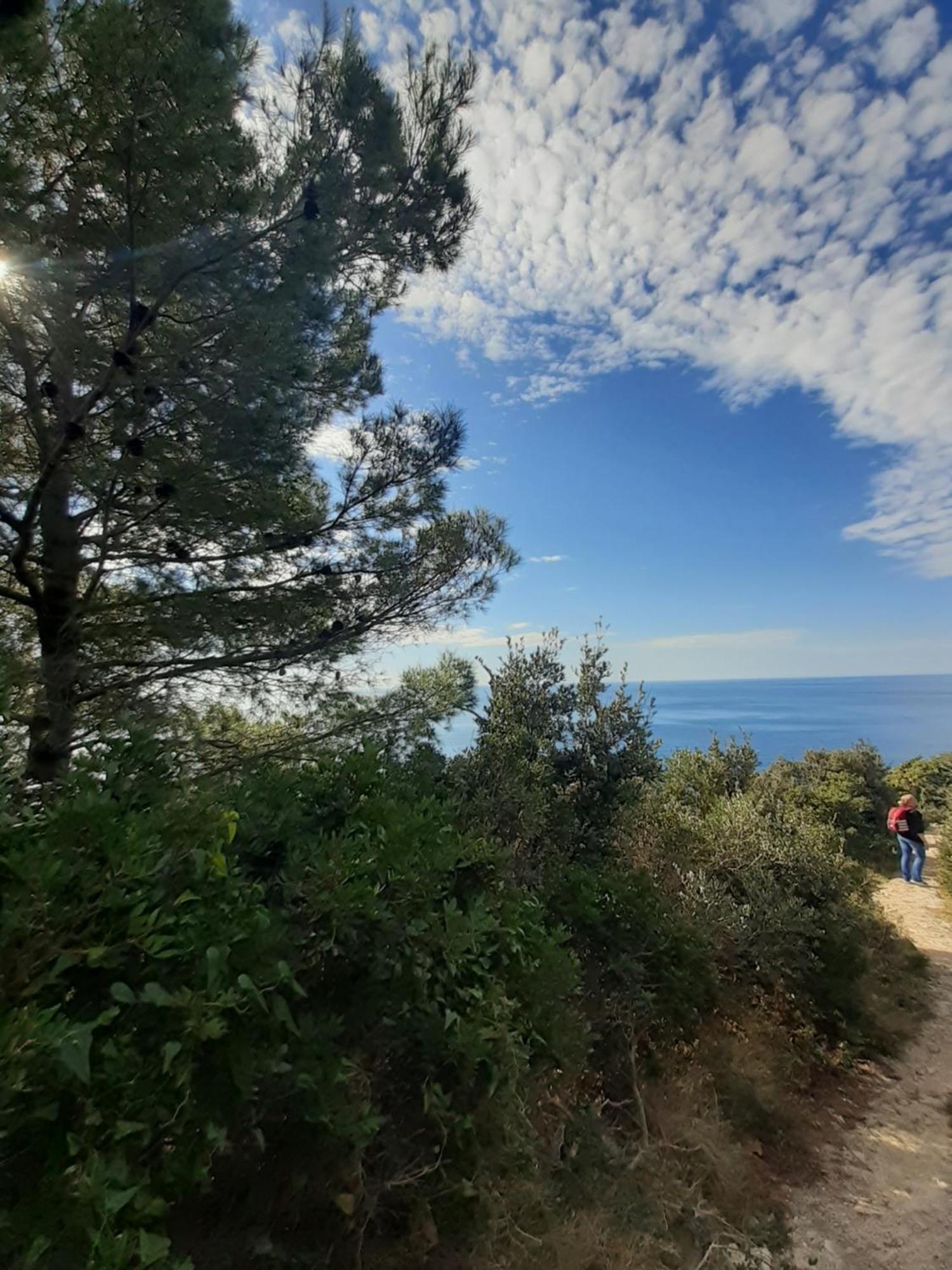 Apartment Nadine Mljet Mit Meerblick Okuklje Cameră foto